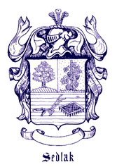 virtualcasestudiesinstitute.com